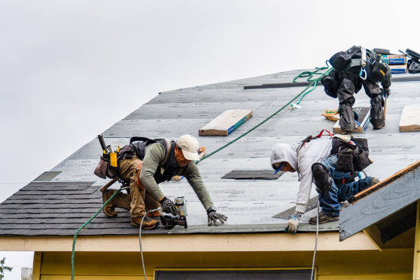 Professional Gutter Installation technician working in Woodstock, MN